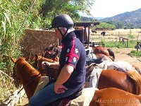 Sardegna 2014 (166)